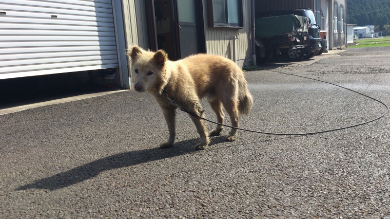 今日は天気がいっすな