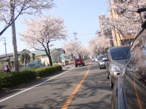 さくら2010 名古屋市天白区の植田駅周辺