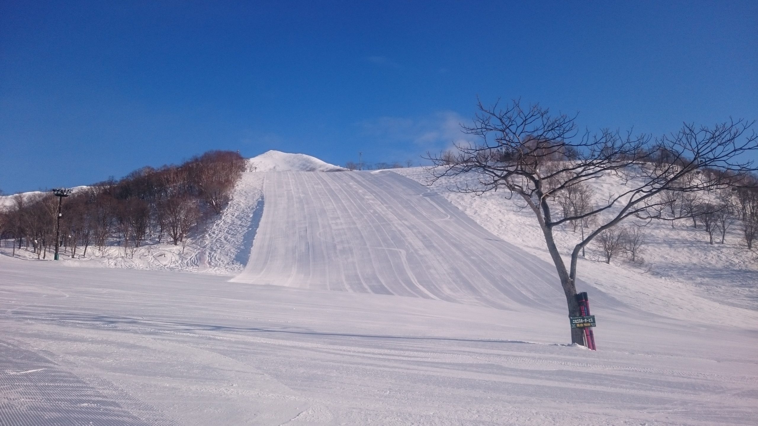 北海道のニセコで滑ってみる