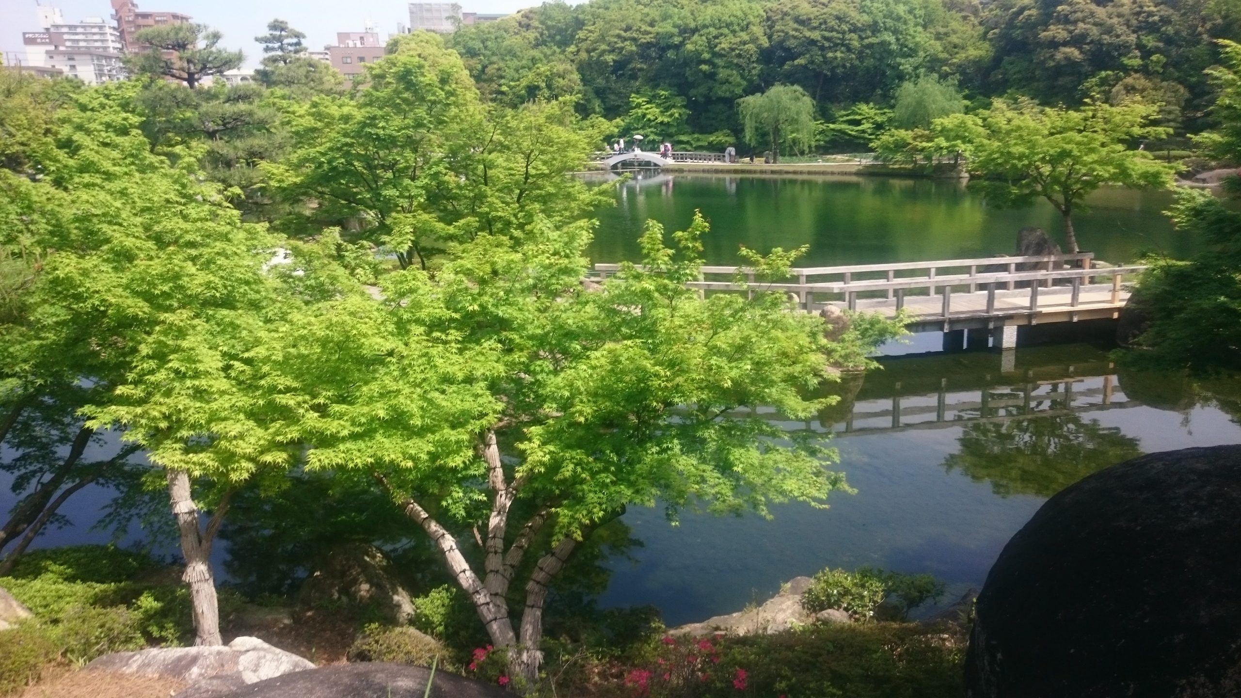 名古屋の庭園 徳川園を散歩してみる