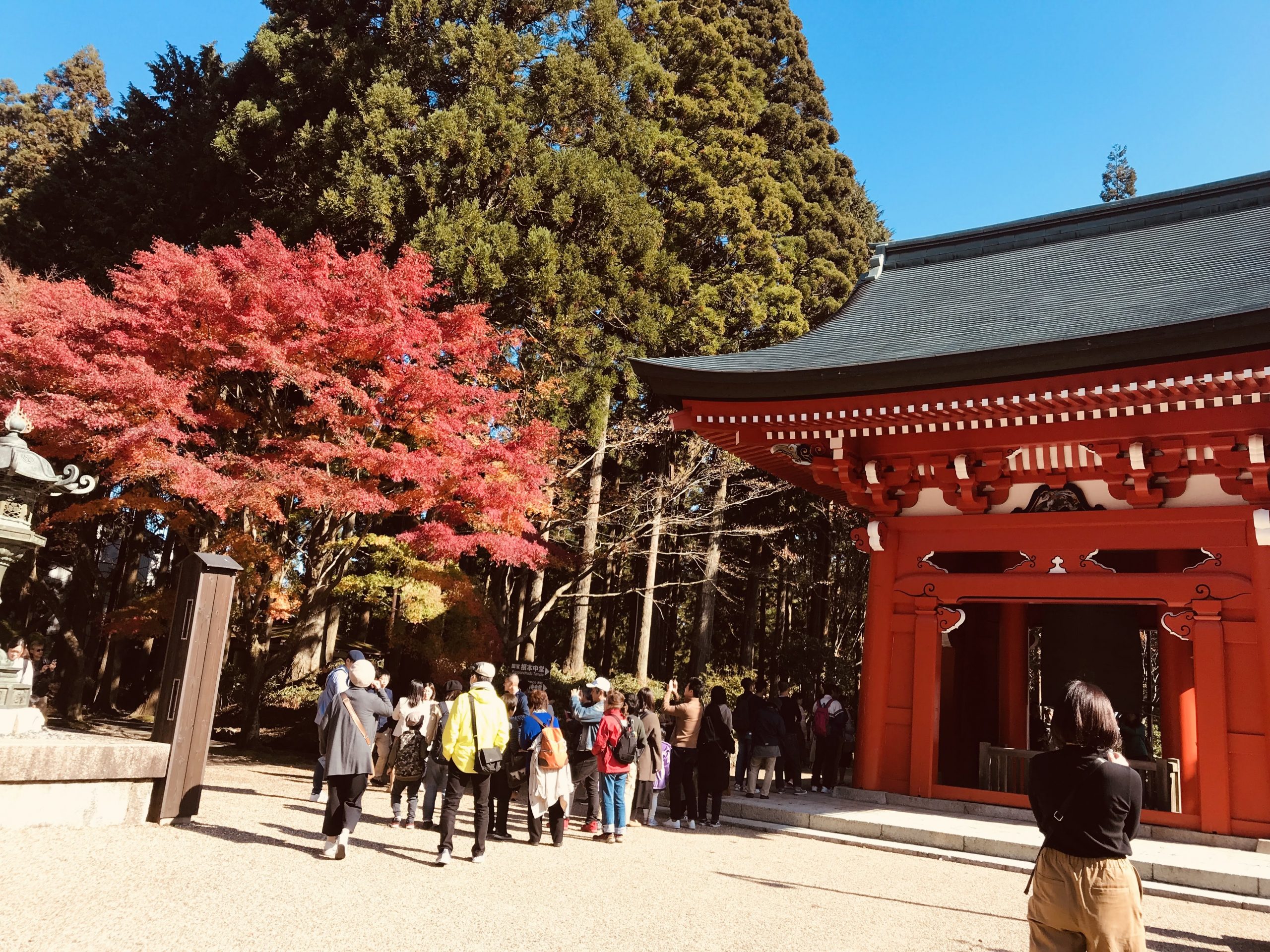 滋賀県と京都府あたりの比叡山で紅葉を眺めてみる