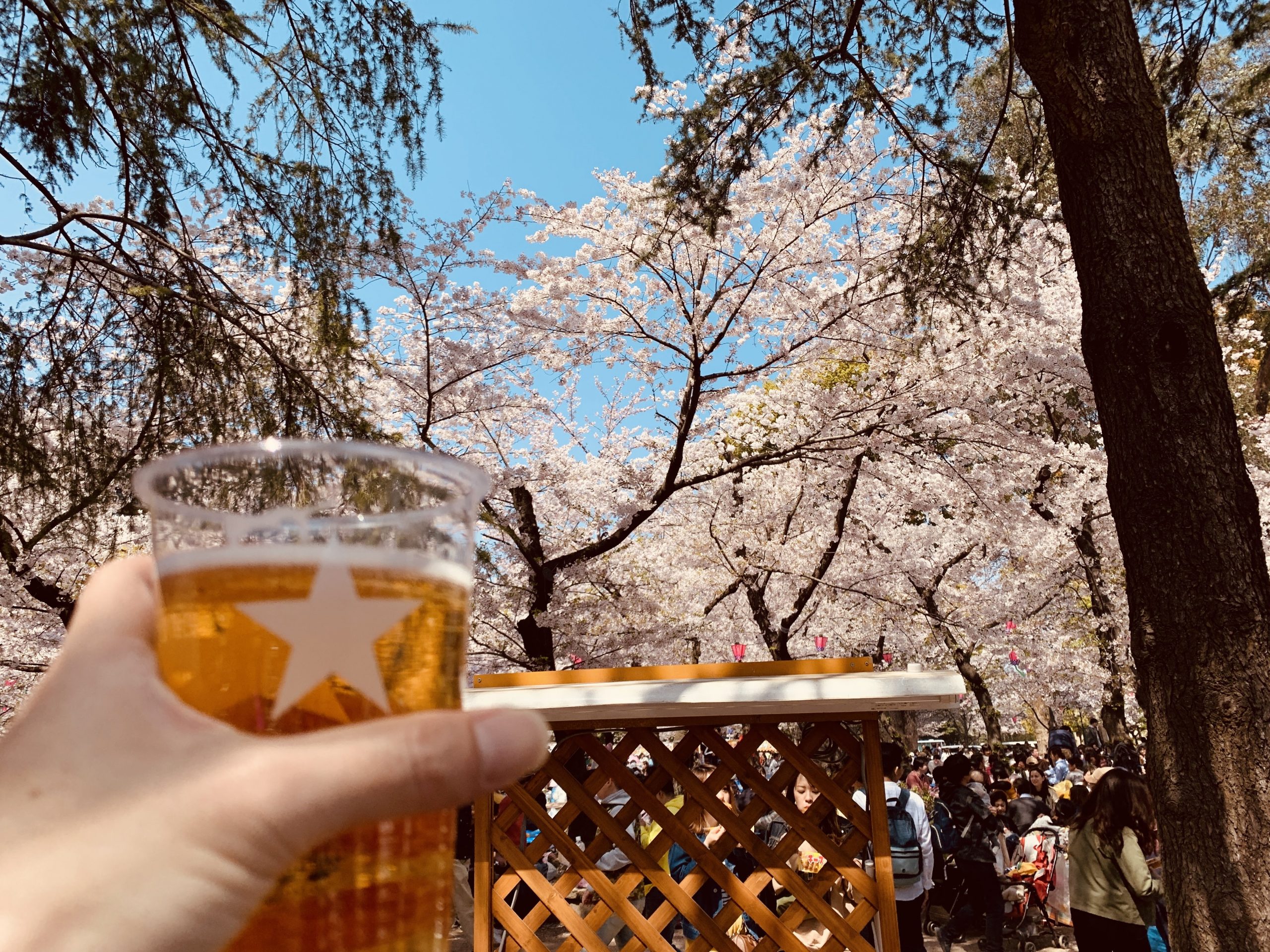 愛知県名古屋市の鶴舞公園で花見の時期に期間限定出店している名古屋ビール園 浩養園のビアガーデンでジンギスカンを食べながら一杯飲んでみる