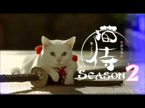 猫侍のオープニングがなんともかんとも…